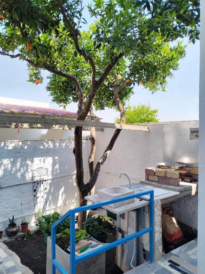 Casa Da Laranjeira Lägenhet Montargil Exteriör bild